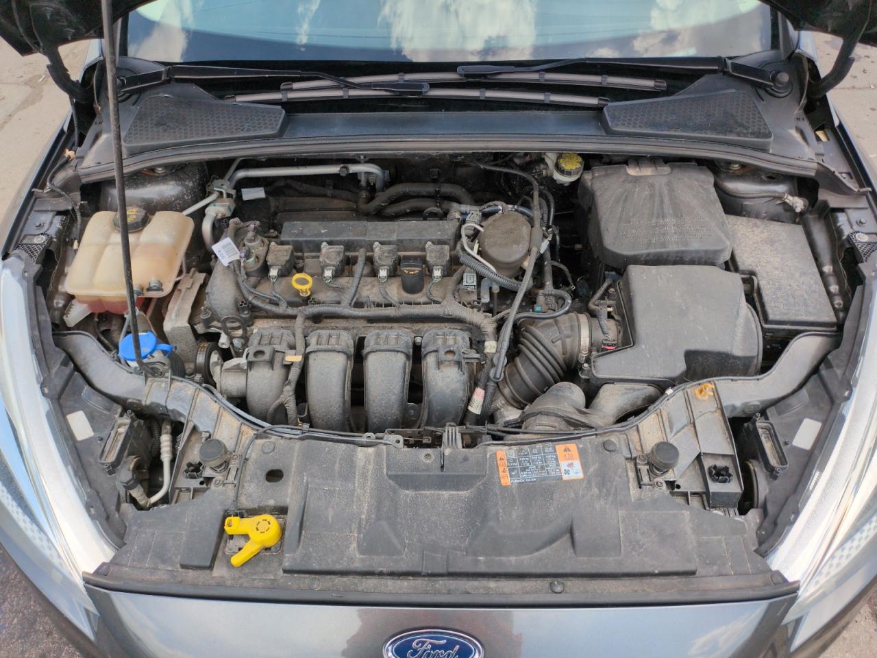 2015 Ford Focus Se VIN: 1FADP3F26FL339642 Lot: 65606655