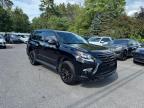 2019 LEXUS GX 460   for sale at Copart MA - NORTH BOSTON