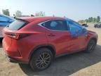 2024 LEXUS NX 350H BASE   for sale at Copart QC - MONTREAL