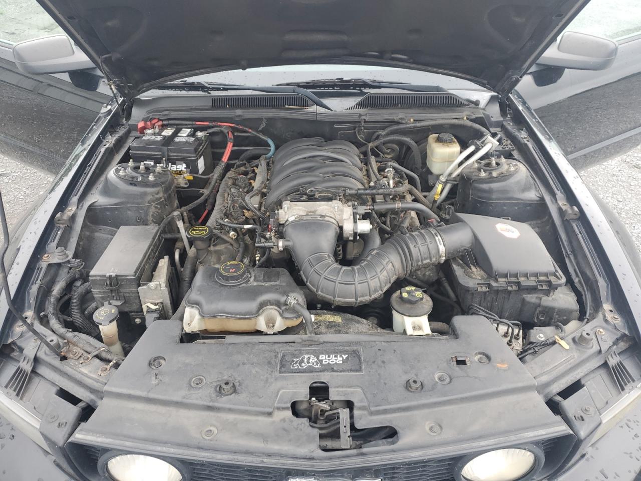 2007 Ford Mustang Gt VIN: 1ZVHT82H375214177 Lot: 64388615