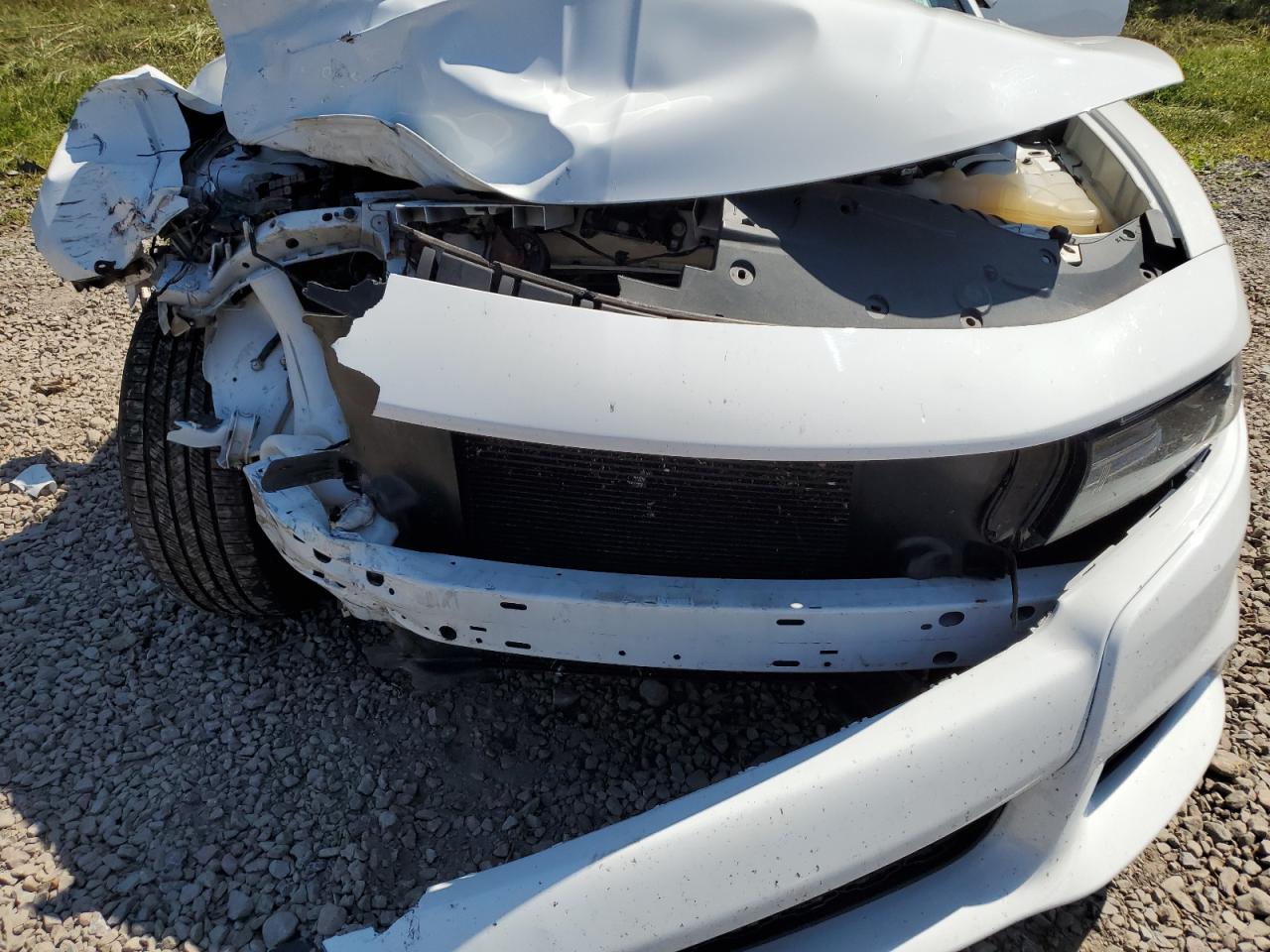 2021 Dodge Charger Sxt VIN: 2C3CDXJG4MH606171 Lot: 64935495