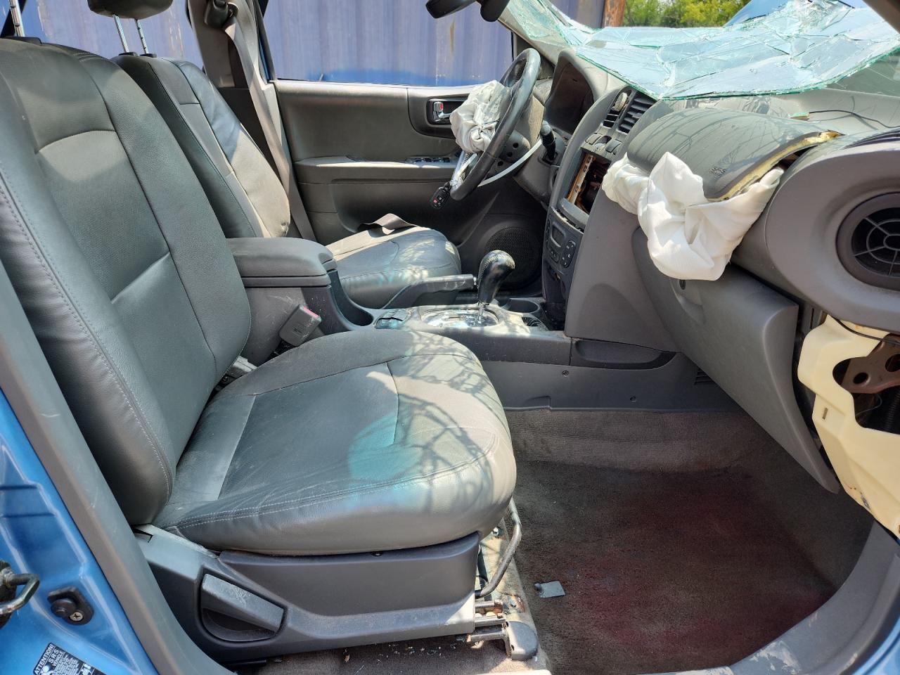 2004 Hyundai Santa Fe Gls VIN: KM8SC73E14U663801 Lot: 63306745