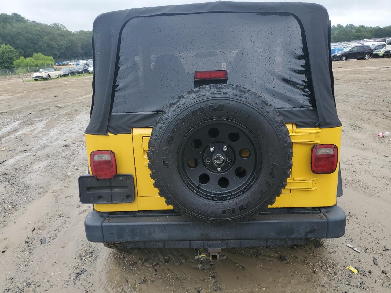 2001 Jeep Wrangler / Tj Sport VIN: 1J4FA49S51P346096 Lot: 64231205