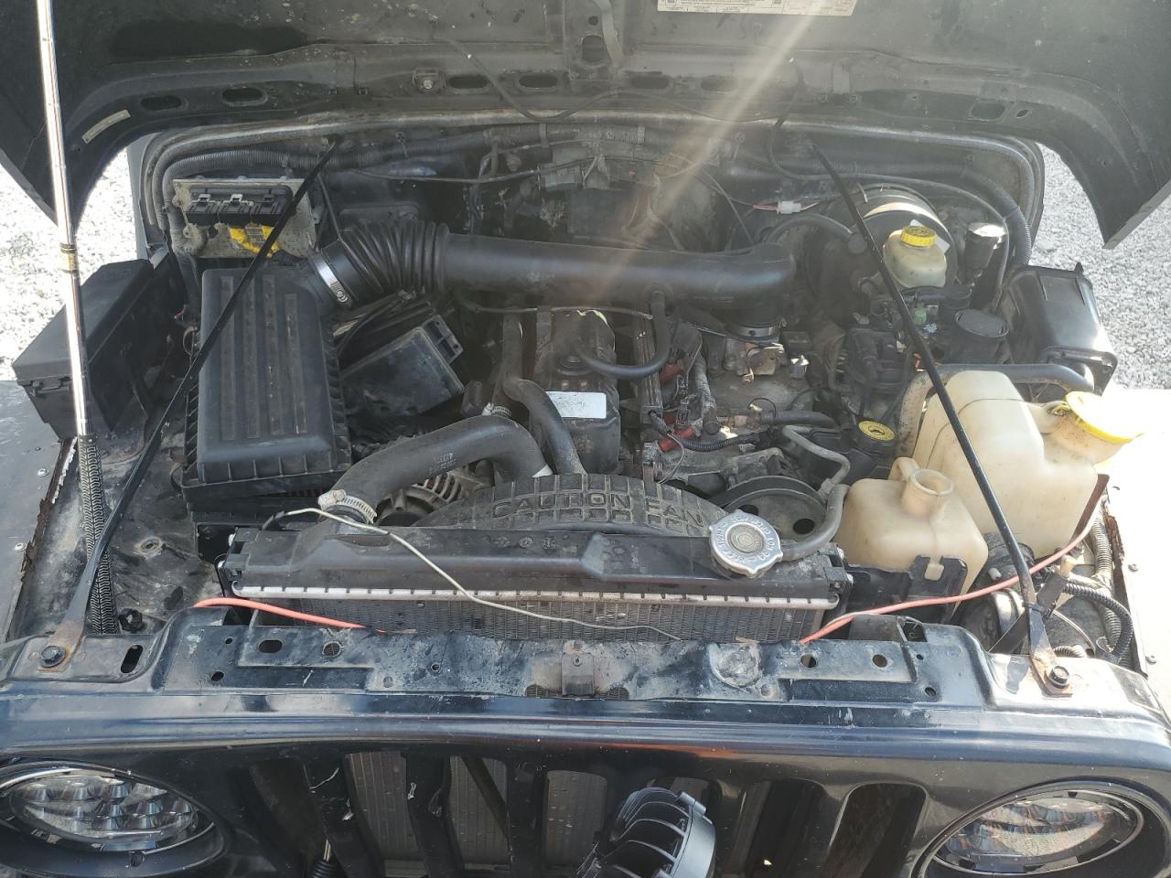 2001 Jeep Wrangler / Tj Sport VIN: 1J4FA49S61P343160 Lot: 65129205