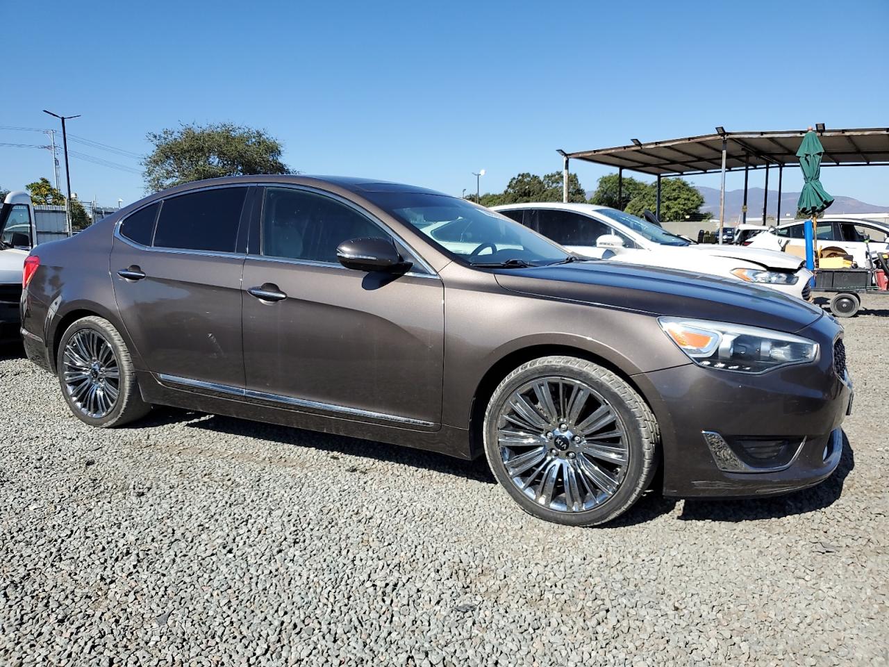 2014 Kia Cadenza Premium VIN: KNALN4D7XE5147981 Lot: 66579135