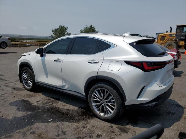  LEXUS NX 350H BA 2024 Biały