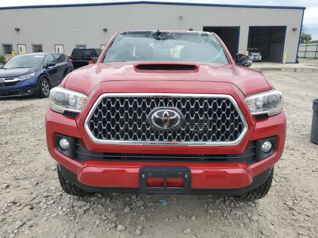  TOYOTA TACOMA 2019 Czerwony