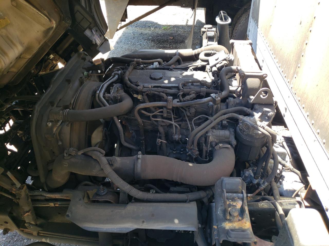 2010 Isuzu Nqr VIN: JALE5W167A7901239 Lot: 62024955