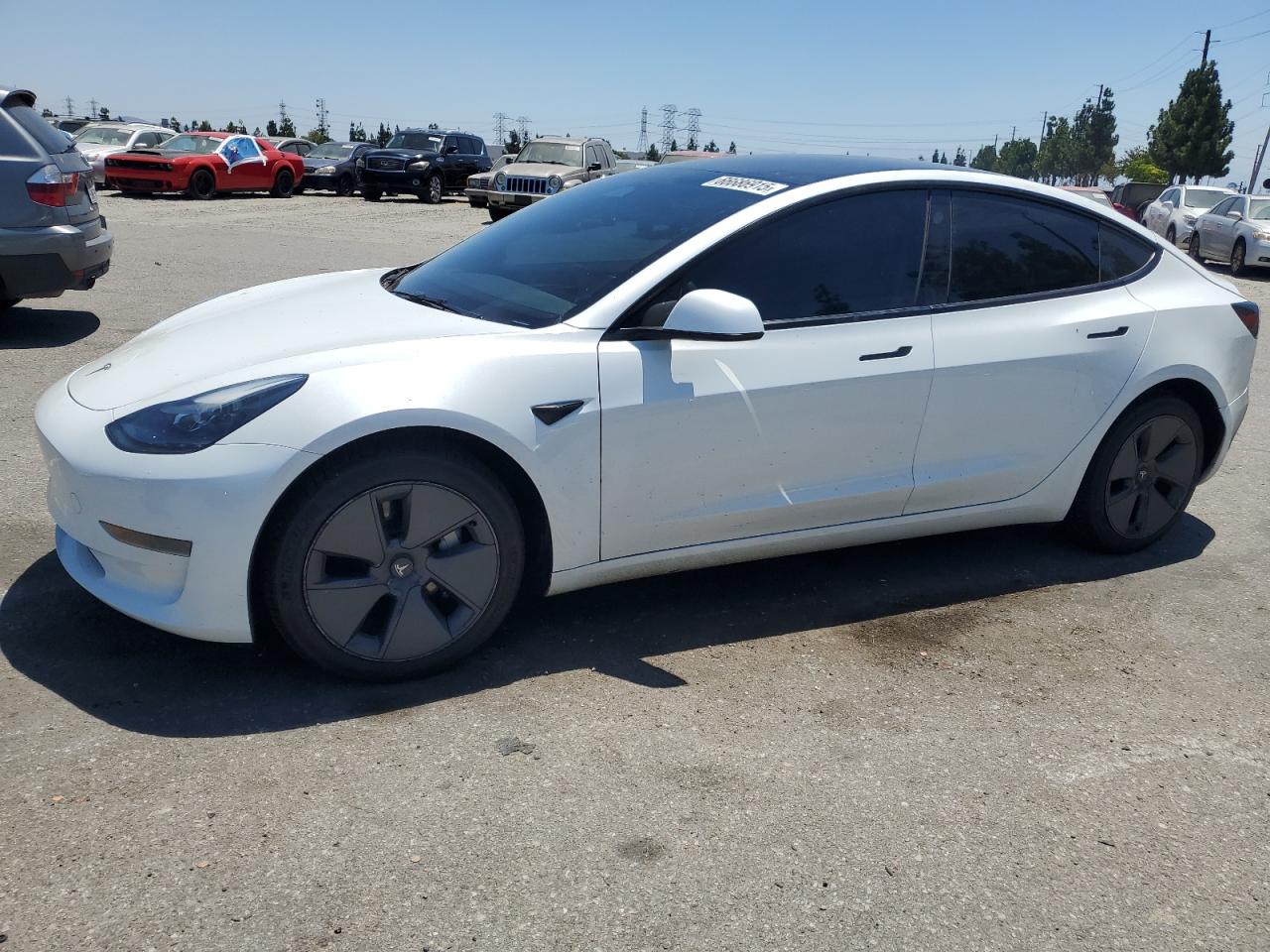 5yj3e1ea4pf517805 5YJ3E1EA4PF517805 2023 Tesla Model 3