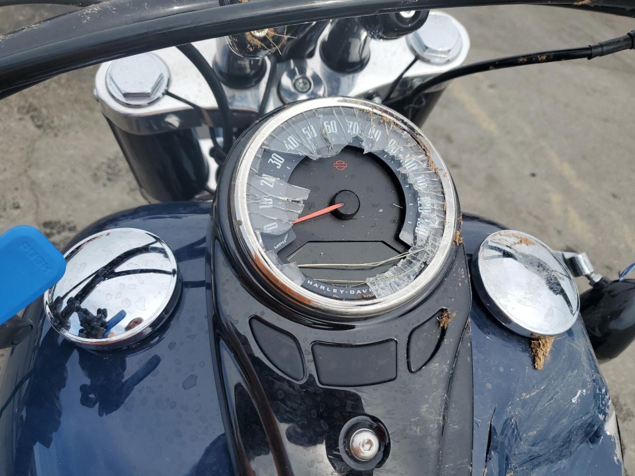 2019 Harley-Davidson Flsl VIN: 1HD1YDJ11KC016574 Lot: 64104805