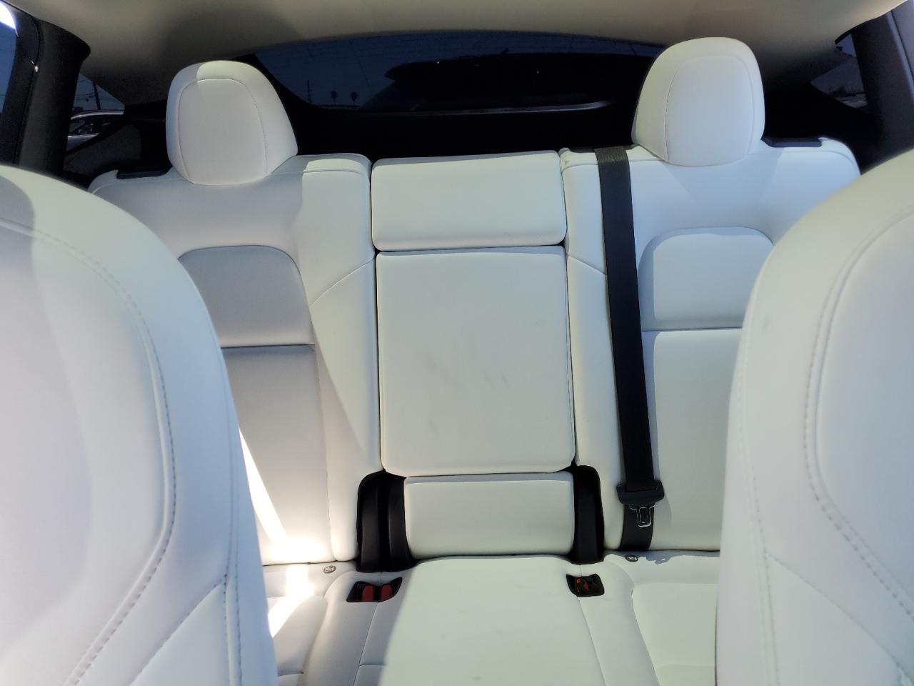 2024 Tesla Model Y VIN: 7SAYGDEF8RF026527 Lot: 66410385