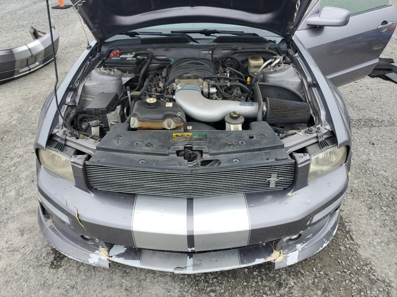 2006 Ford Mustang Gt VIN: 1ZVHT82H165168573 Lot: 64133795