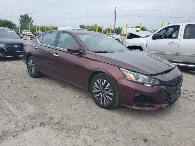  NISSAN ALTIMA 2023 Burgundy