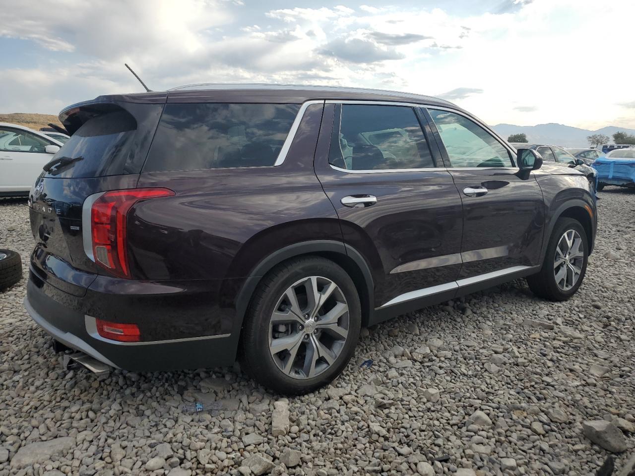 2020 Hyundai Palisade Sel VIN: KM8R4DHE7LU093501 Lot: 65363425