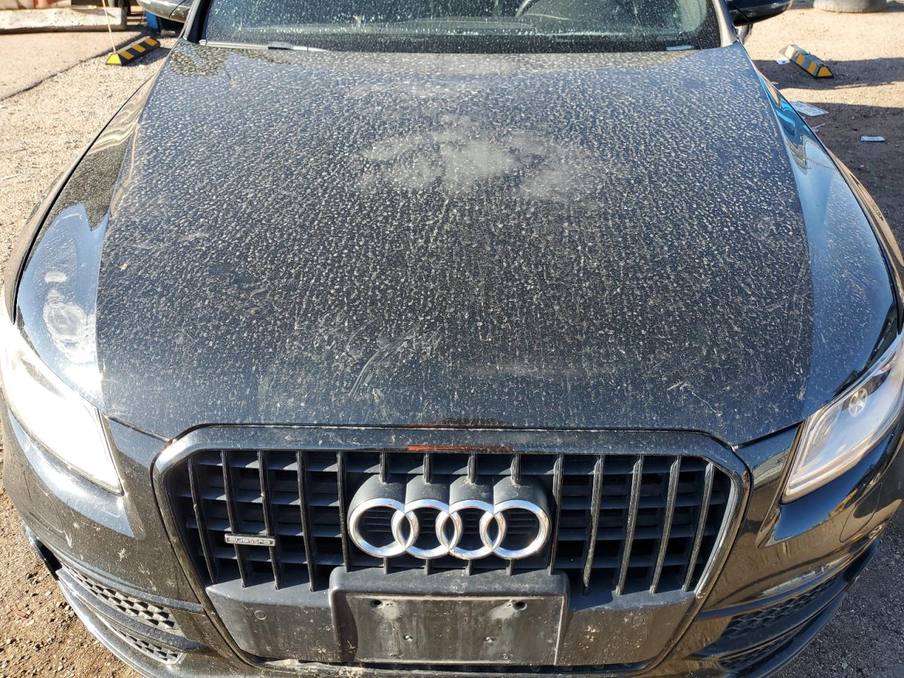 2013 Audi Q5 Premium Plus S-Line VIN: WA1D7AFPXGA007429 Lot: 63436755