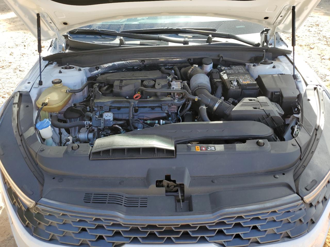 2023 Kia K5 Lxs VIN: 5XXG14J23PG204075 Lot: 65396025