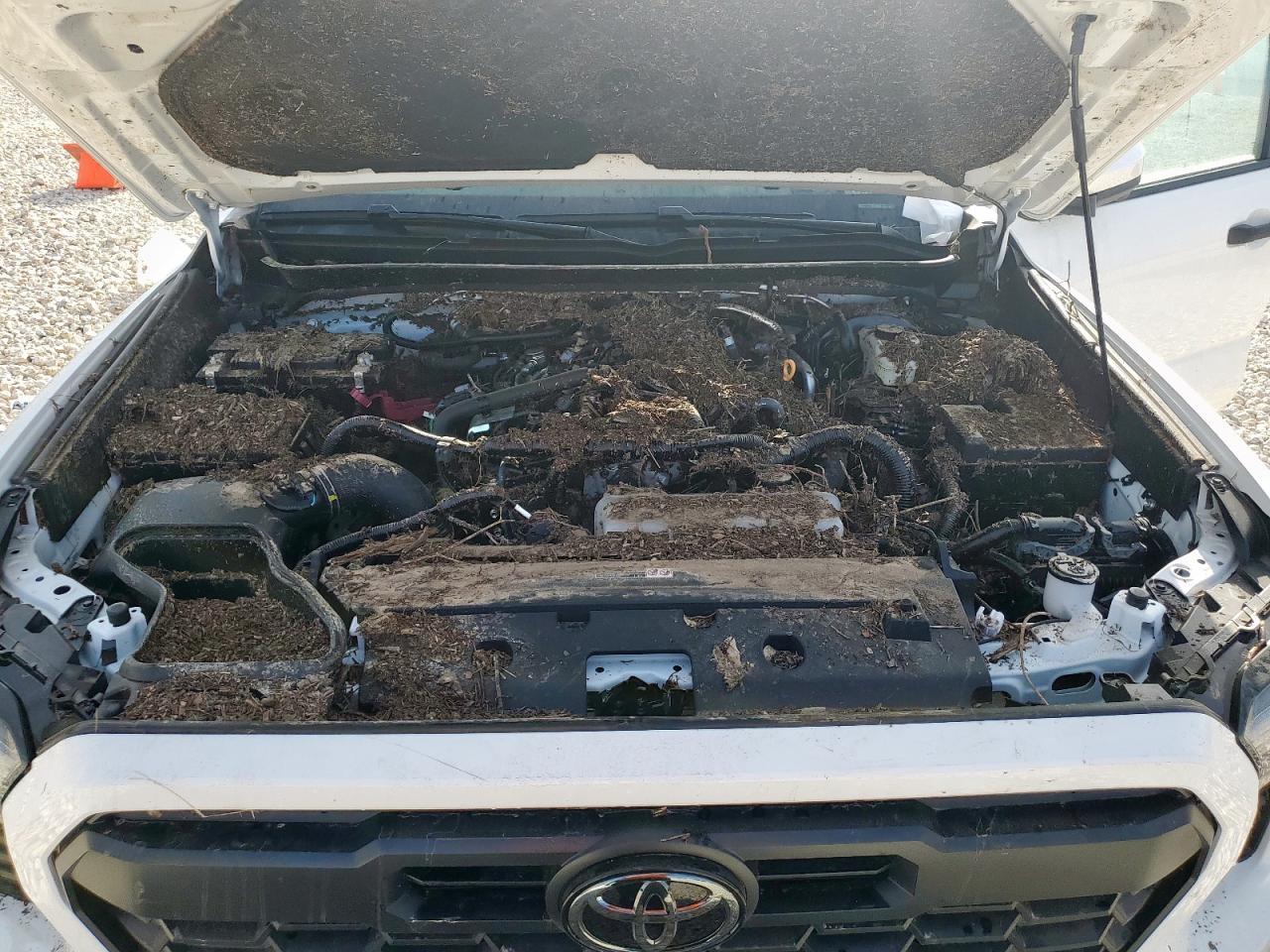 2025 Toyota Tacoma Double Cab VIN: 3TMLB5JNXSM132004 Lot: 64240715