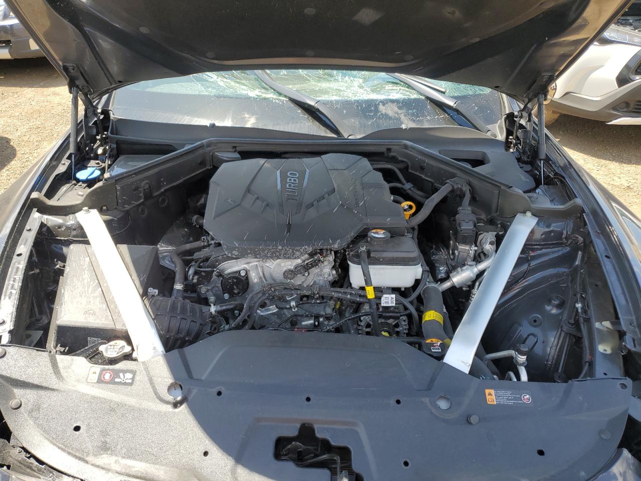 2023 Kia Stinger Gt Line VIN: KNAE35LD2P6132321 Lot: 62717285