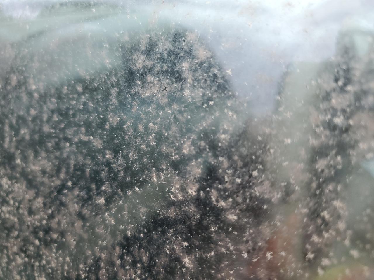 1999 Ford F250 Super Duty VIN: 1FTNX21F8XEE98381 Lot: 64363505