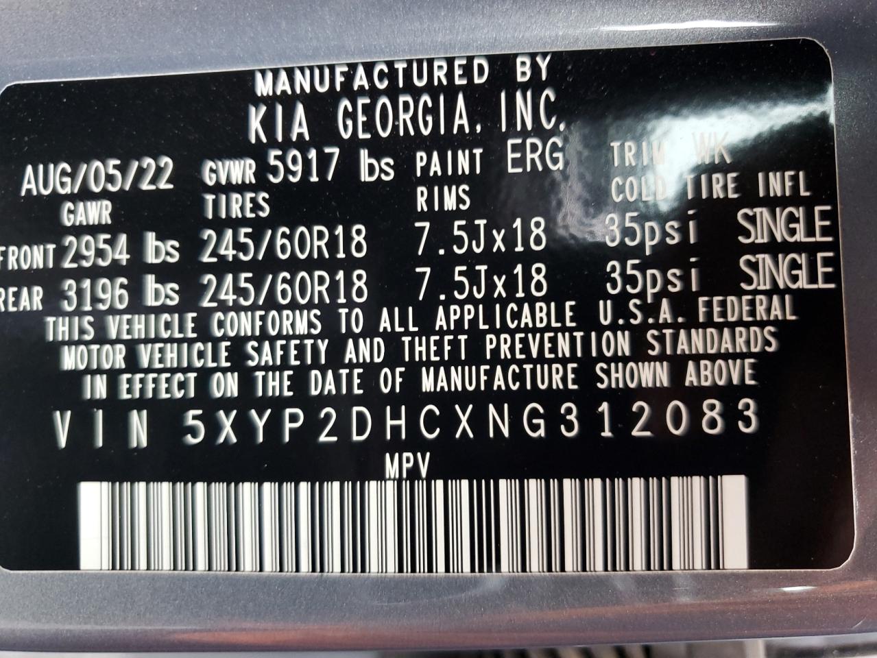 2022 Kia Telluride Lx VIN: 5XYP2DHCXNG312083 Lot: 64025375