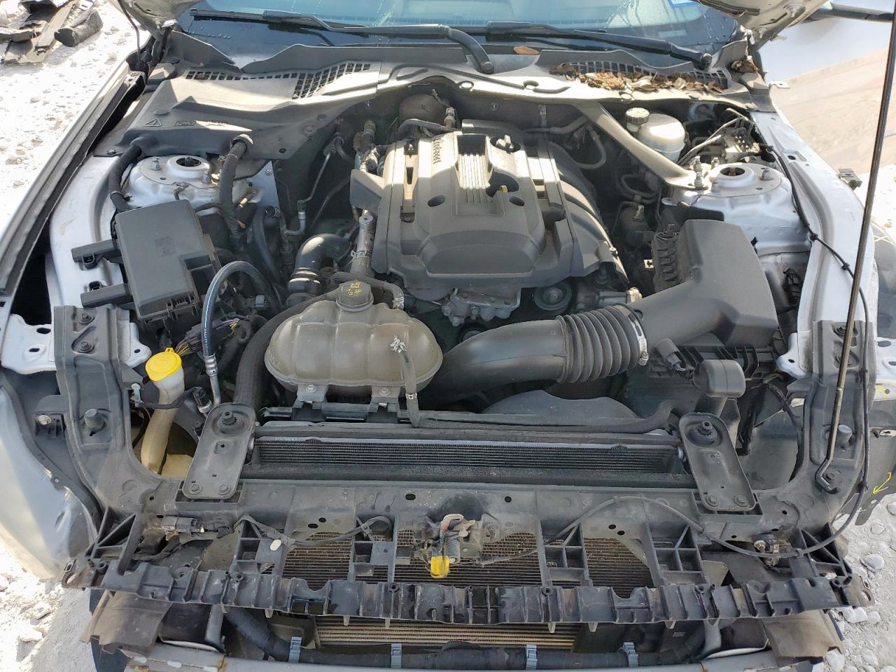 2016 Ford Mustang VIN: 1FATP8UH1G5299895 Lot: 64697295