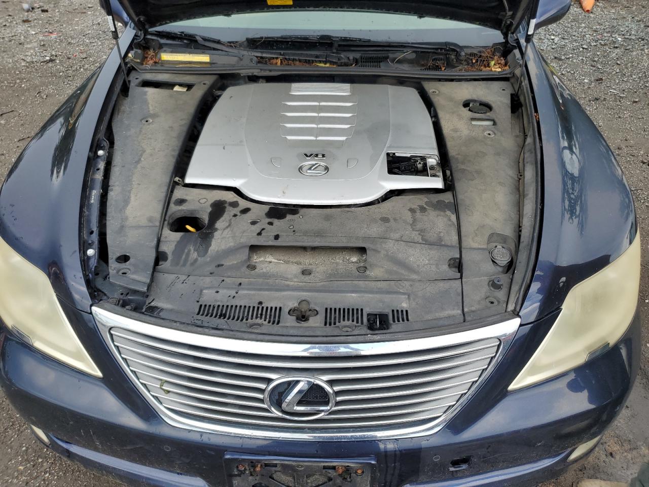 2007 Lexus Ls 460 VIN: JTHBL46F175007134 Lot: 63358695