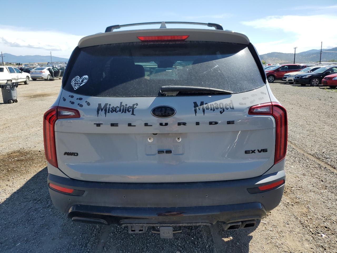 2021 Kia Telluride Ex VIN: 5XYP3DHCXMG130346 Lot: 66051525