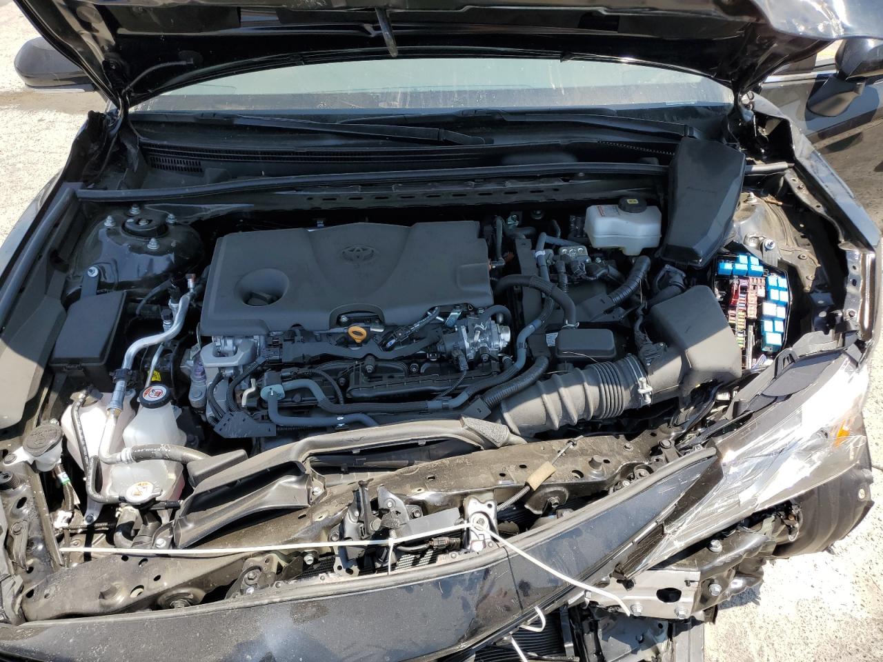 2024 Toyota Camry Xle VIN: 4T1F31AKXRU622937 Lot: 65001485