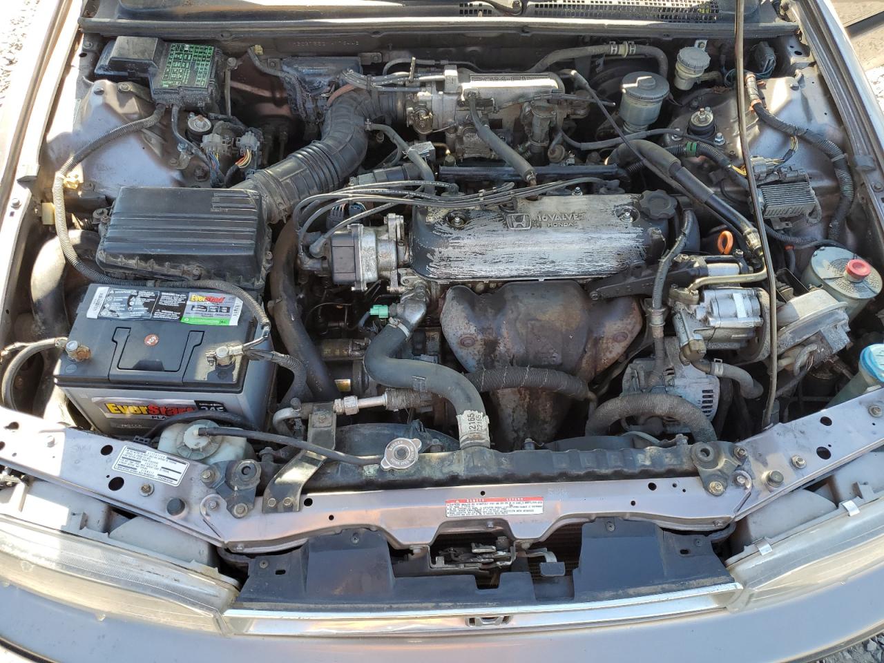 1992 Honda Accord Lx VIN: 1HGCB7552NA176443 Lot: 62196415