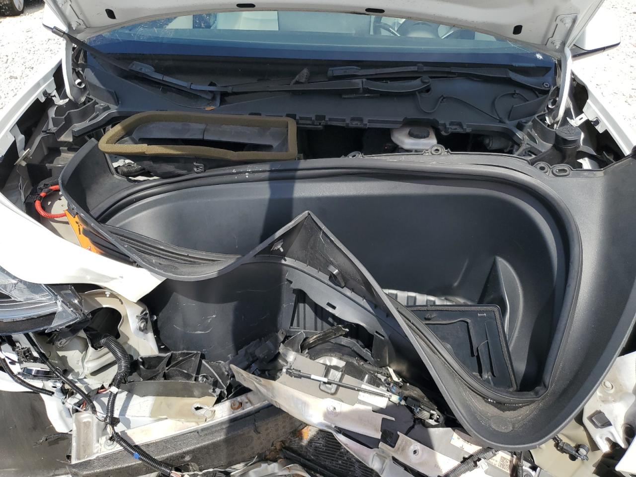 2021 Tesla Model Y VIN: 5YJYGAEE2MF187287 Lot: 65801225