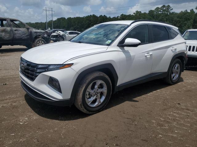 HYUNDAI TUCSON SEL 2024