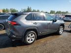 2021 TOYOTA RAV4 LE   à vendre chez Copart ON - TORONTO