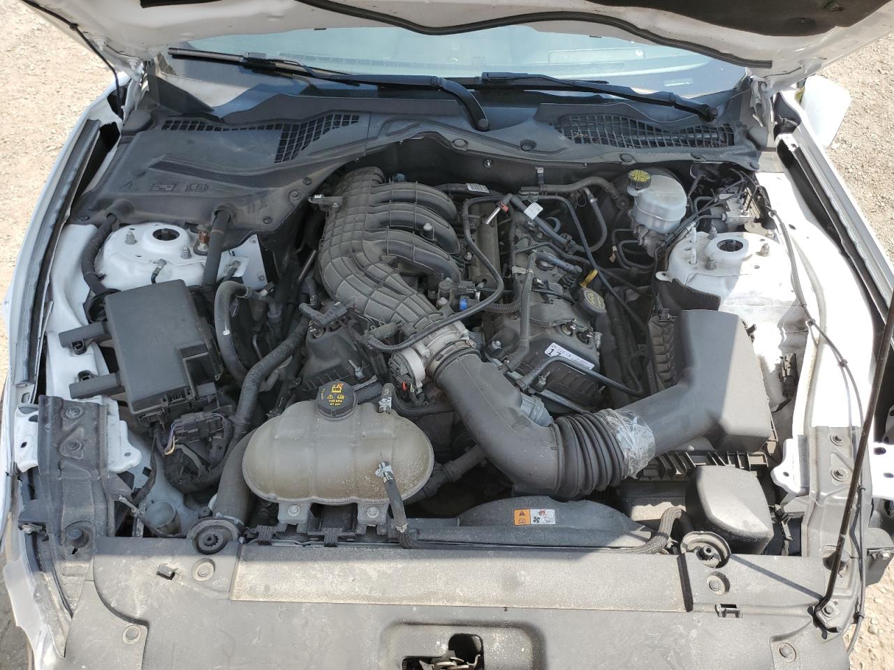 2017 Ford Mustang VIN: 1FA6P8AM3H5303462 Lot: 64782795