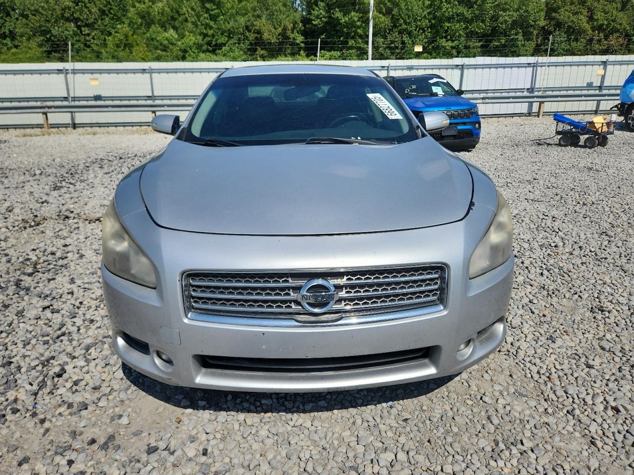 2009 Nissan Maxima S VIN: 1N4AA51E69C817189 Lot: 66827705