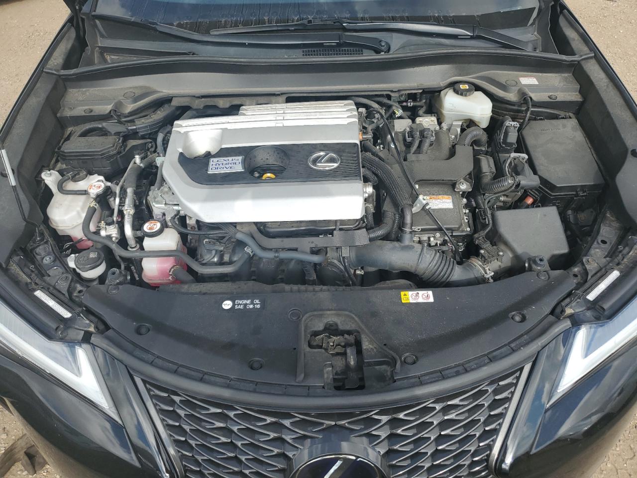 2020 Lexus Ux 250H VIN: JTHR9JBH0L2031794 Lot: 65289045