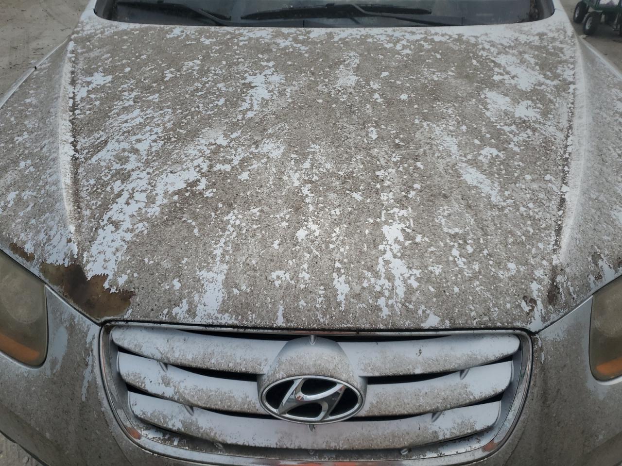 2010 Hyundai Santa Fe Se VIN: 5NMSH4AG3AH343309 Lot: 65475175
