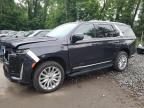 2024 CADILLAC ESCALADE PREMIUM LUXURY   for sale at Copart NY - NEWBURGH