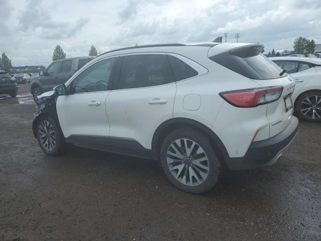  FORD ESCAPE 2021 Белы