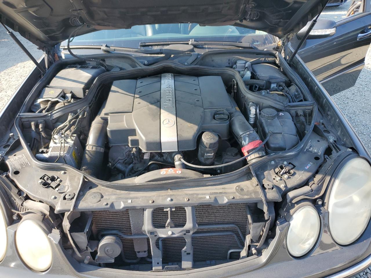 2004 Mercedes-Benz E 320 VIN: WDBUH65J54A403677 Lot: 64822955