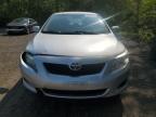 2009 TOYOTA COROLLA BASE   à vendre chez Copart ON - COOKSTOWN