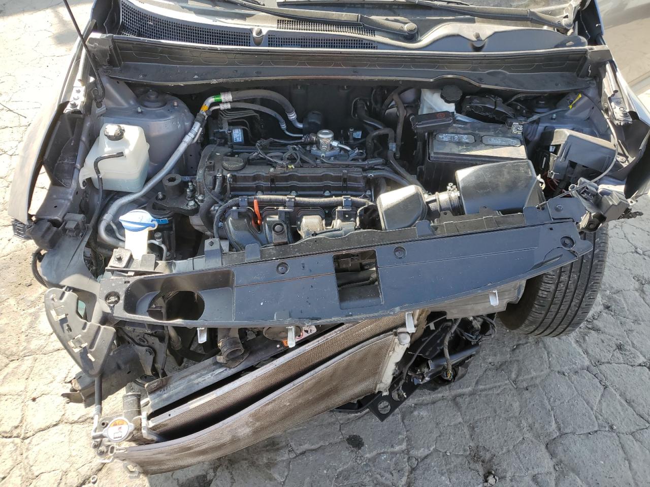 2014 Kia Sportage Base VIN: KNDPB3ACXE7618816 Lot: 63064185