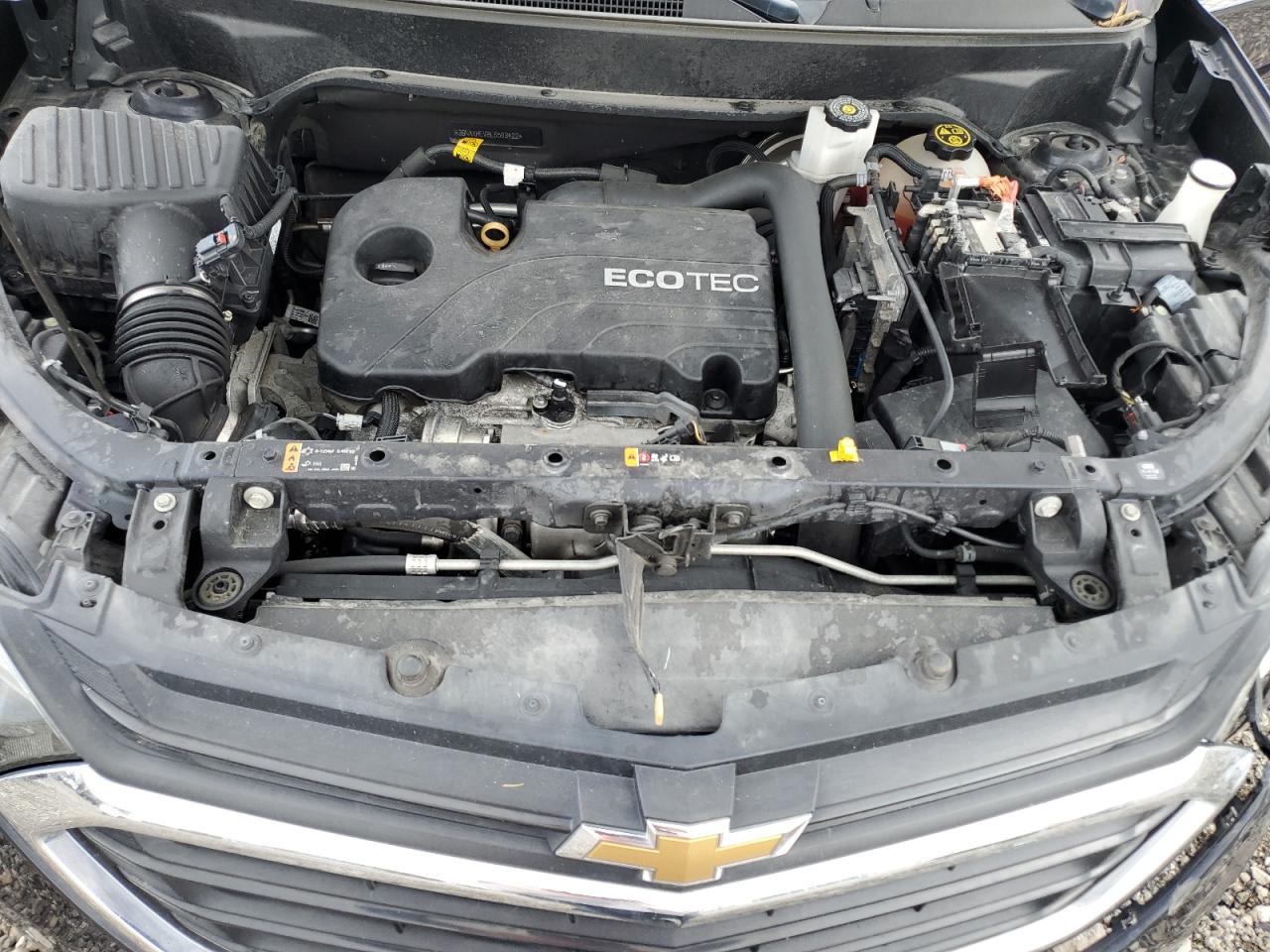 2020 Chevrolet Equinox Ls VIN: 3GNAXHEV8LS593422 Lot: 64984115