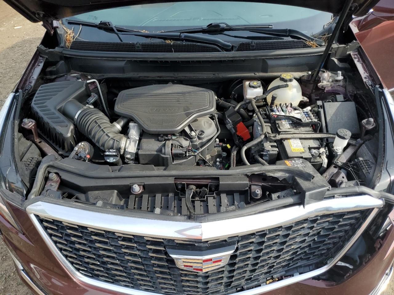 2022 Cadillac Xt5 Premium Luxury VIN: 1GYKNDRS3NZ105800 Lot: 66484875