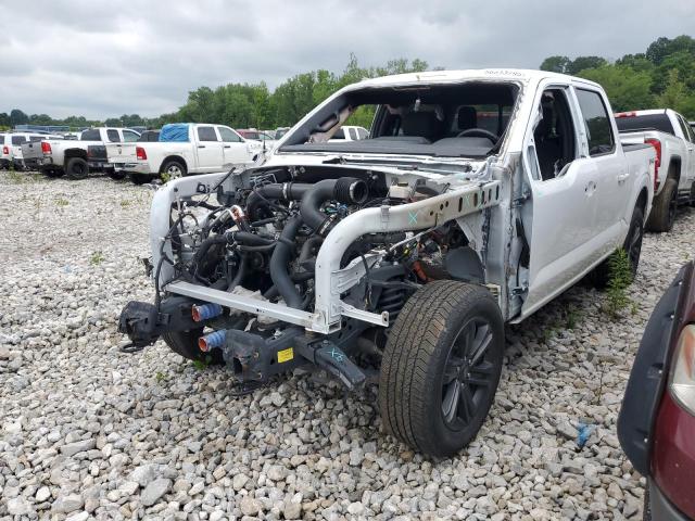  FORD F-150 2023 Белый
