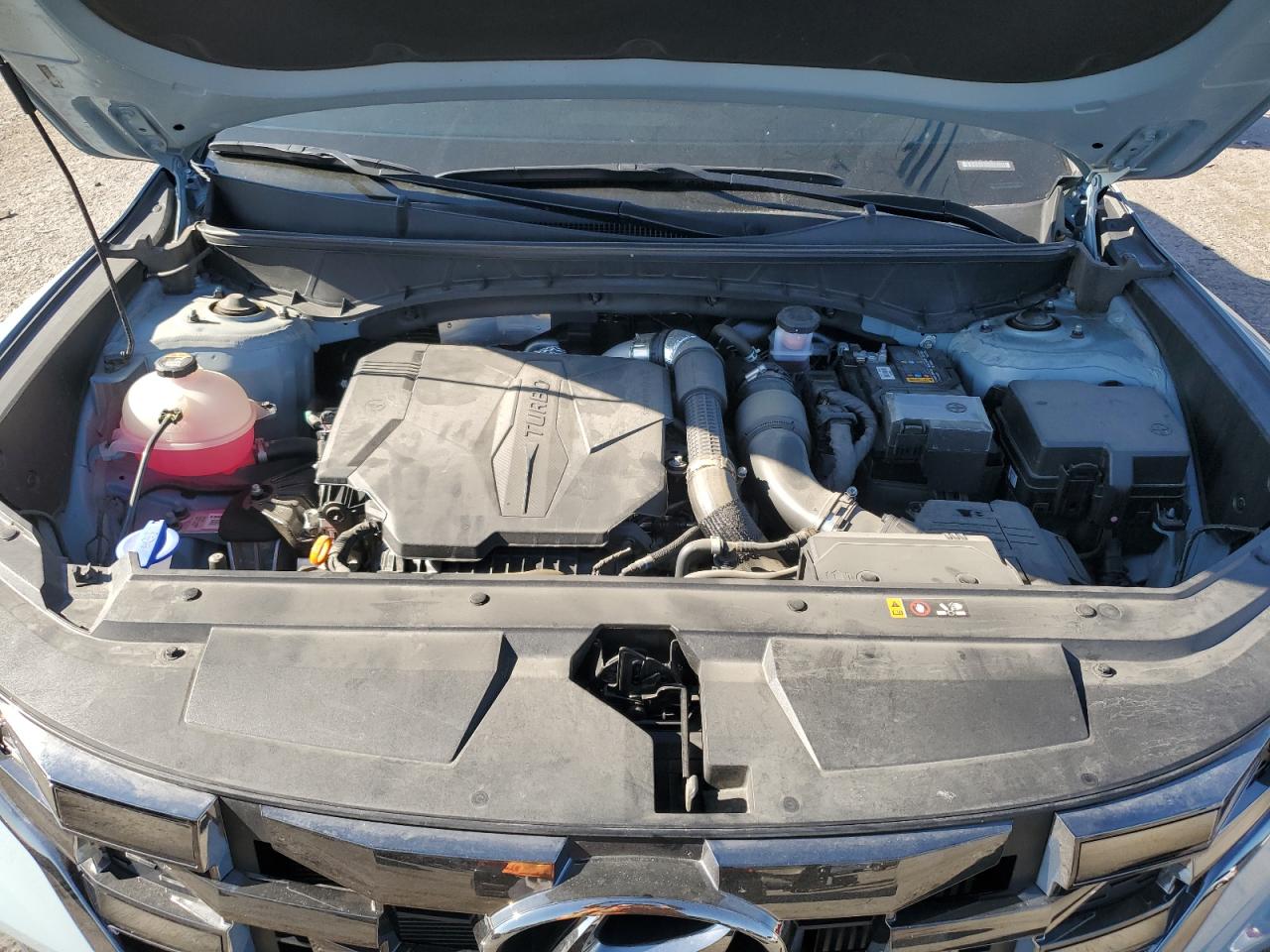 2022 Hyundai Santa Cruz Limited VIN: 5NTJEDAF7NH024498 Lot: 67066625