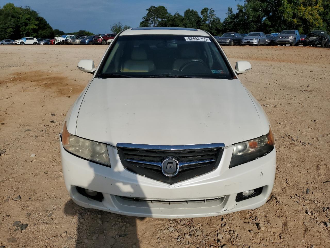 jh4cl96996c000177 JH4CL96996C000177 2006 Acura Tsx