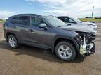 2021 TOYOTA RAV4 XLE   à vendre chez Copart AB - CALGARY