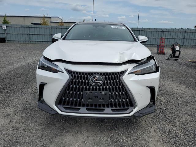 2024 LEXUS NX 350H BASE  