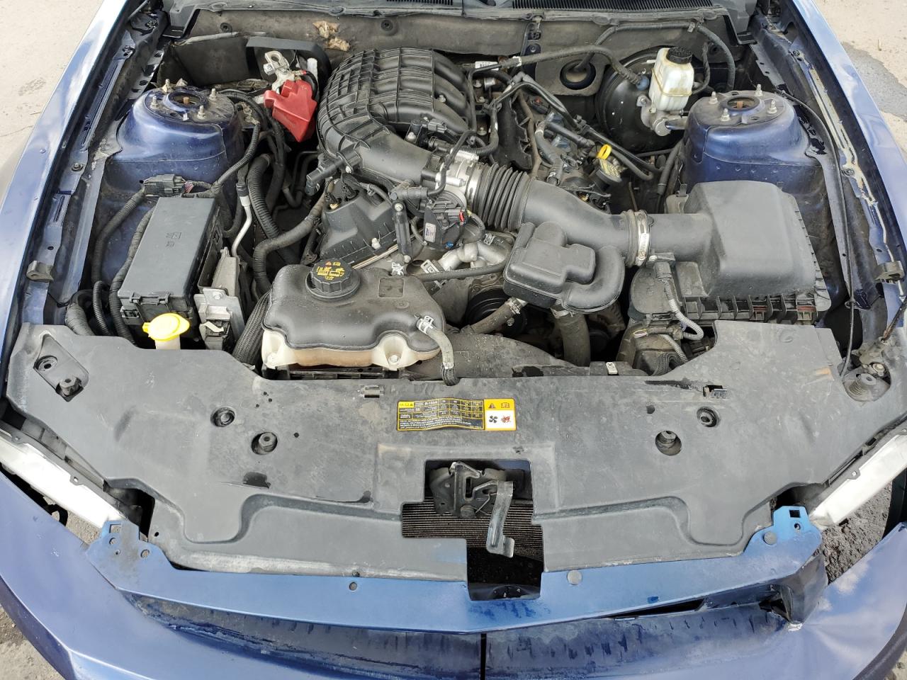 2011 Ford Mustang VIN: 1ZVBP8AM5B5141816 Lot: 64198125