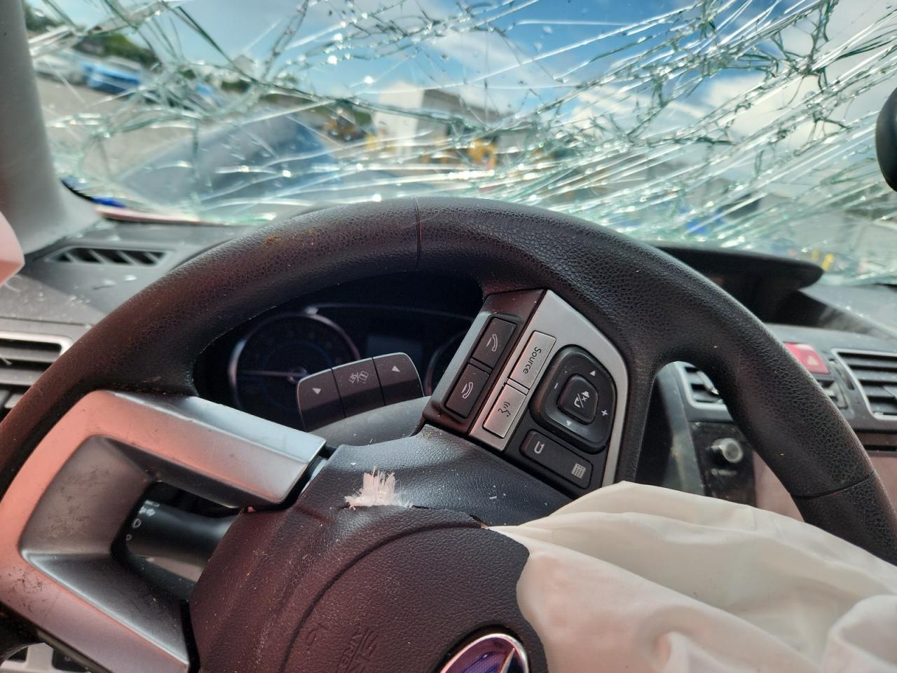 2017 Subaru Forester 2.5I Premium VIN: JF2SJAGC9HH569021 Lot: 65361075